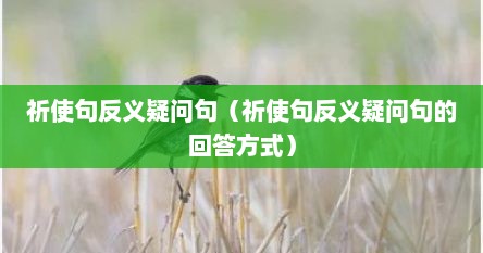 祈使句反义疑问句（祈使句反义疑问句的回答方式）