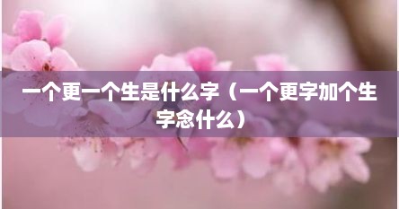 一个更一个生是什么字（一个更字加个生字念什么）