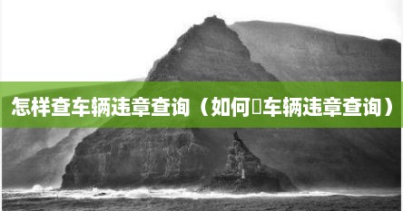 怎样查车辆违章查询（如何査车辆违章查询）