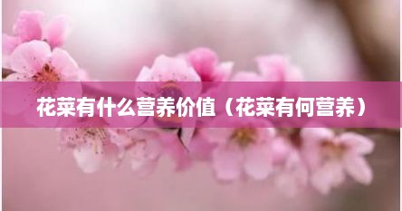 花菜有什么营养价值（花菜有何营养）