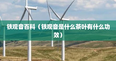 铁观音百科（铁观音是什么茶叶有什么功效）