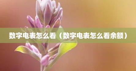 数字电表怎么看（数字电表怎么看余额）