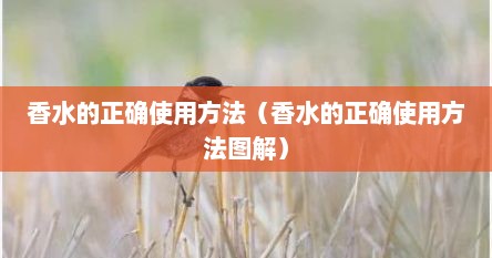 香水的正确使用方法（香水的正确使用方法图解）