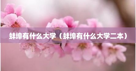 蚌埠有什么大学（蚌埠有什么大学二本）