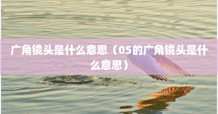 广角镜头是什么意思（05的广角镜头是什么意思）