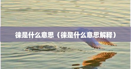 徕是什么意思（徕是什么意思解释）