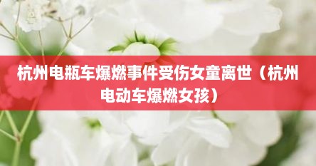 杭州电瓶车爆燃事件受伤女童离世（杭州电动车爆燃女孩）