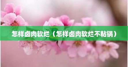 怎样卤肉软烂（怎样卤肉软烂不粘锅）