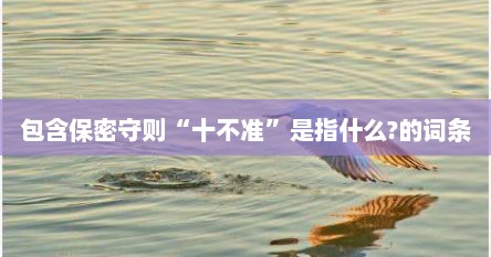 包含保密守则“十不准”是指什么?的词条