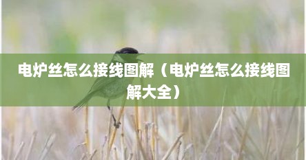 电炉丝怎么接线图解（电炉丝怎么接线图解大全）