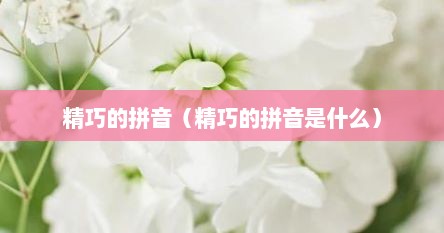 精巧的拼音（精巧的拼音是什么）
