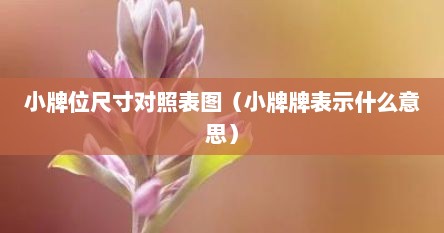 小牌位尺寸对照表图（小牌牌表示什么意思）