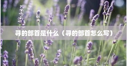 寻的部首是什么（寻的部首怎么写）
