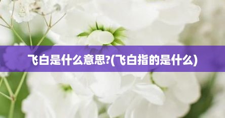 飞白是什么意思?(飞白指的是什么)