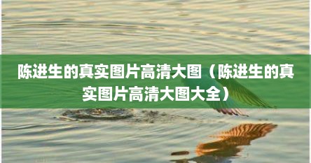 陈进生的真实图片高清大图（陈进生的真实图片高清大图大全）