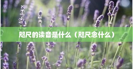 咫尺的读音是什么（咫尺念什么）