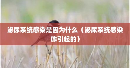 泌尿系统感染是因为什么（泌尿系统感染咋引起的）