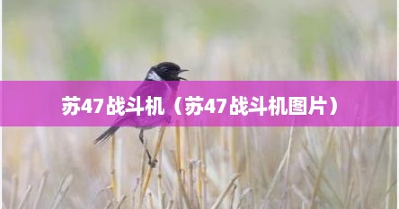 苏47战斗机（苏47战斗机图片）