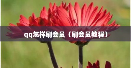 qq怎样刷会员（刷会员教程）