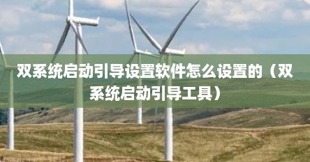 双系统启动引导设置软件怎么设置的（双系统启动引导工具）
