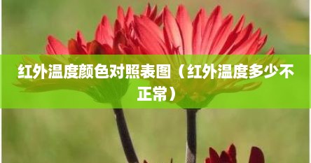 红外温度颜色对照表图（红外温度多少不正常）