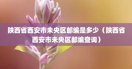 陕西省西安市未央区邮编是多少（陕西省西安市未央区邮编查询）