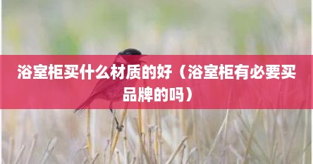 浴室柜买什么材质的好（浴室柜有必要买品牌的吗）