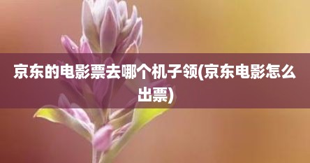 京东的电影票去哪个机子领(京东电影怎么出票)