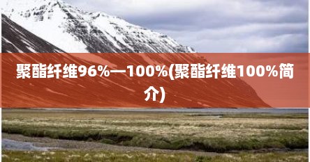 聚酯纤维96%―100%(聚酯纤维100%简介)