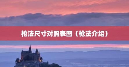 枪法尺寸对照表图（枪法介绍）