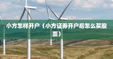小方怎样开户（小方证券开户后怎么买股票）