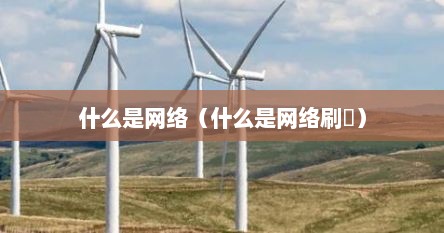什么是网络（什么是网络刷単）