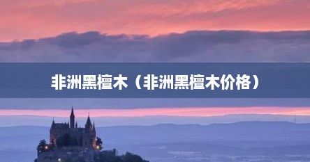非洲黑檀木（非洲黑檀木价格）