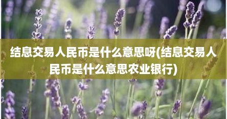 结息交易人民币是什么意思呀(结息交易人民币是什么意思农业银行)