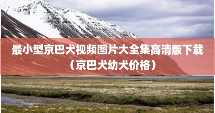 最小型京巴犬视频图片大全集高清版下载（京巴犬幼犬价格）
