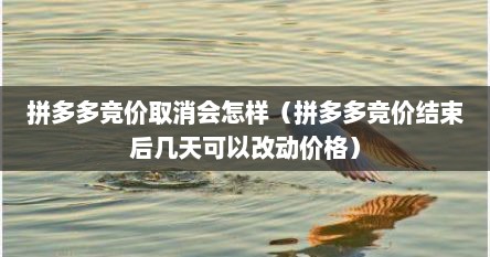 拼多多竞价取消会怎样（拼多多竞价结束后几天可以改动价格）