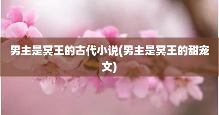 男主是冥王的古代小说(男主是冥王的甜宠文)