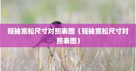 短袖宽松尺寸对照表图（短袖宽松尺寸对照表图）