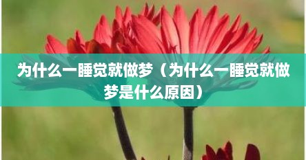 为什么一睡觉就做梦（为什么一睡觉就做梦是什么原因）