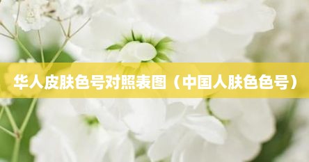 华人皮肤色号对照表图（中国人肤色色号）