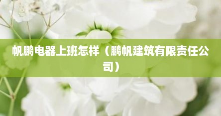 帆鹏电器上班怎样（鹏帆建筑有限责任公司）