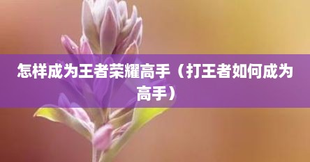 怎样成为王者荣耀高手（打王者如何成为高手）