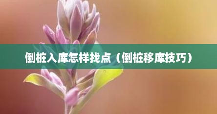 倒桩入库怎样找点（倒桩移库技巧）
