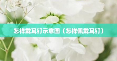 怎样戴耳钉示意图（怎样佩戴耳钉）
