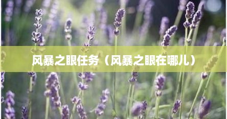 风暴之眼任务（风暴之眼在哪儿）