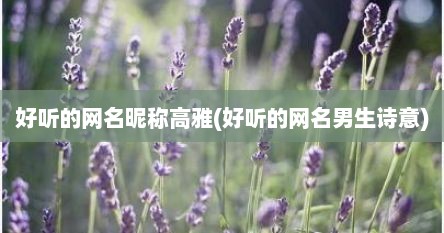好听的网名昵称高雅(好听的网名男生诗意)