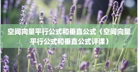 空间向量平行公式和垂直公式（空间向量平行公式和垂直公式评课）
