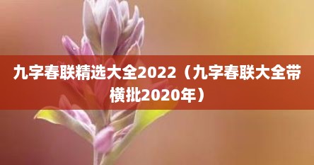 九字春联精选大全2022（九字春联大全带横批2020年）