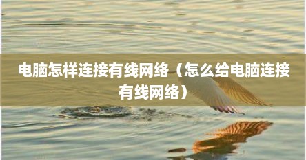 电脑怎样连接有线网络（怎么给电脑连接有线网络）