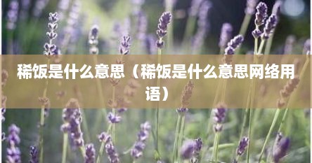稀饭是什么意思（稀饭是什么意思网络用语）